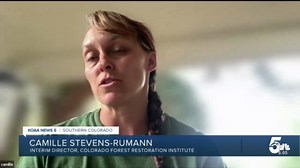 CSU Study: Aspen Trees May Help Combat Colorado's Year-Round Fire Season