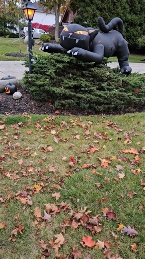 Sunday the Doodle doesn't like black cats in October | Roger Miller