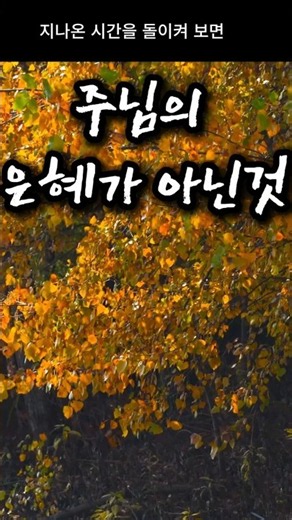 [가을 위로 찬양] 주님의 은혜가 안 미친곳이 없네 | 지칠 때 마음의 평안을 주는 CCM 찬양 모음| 은혜찬양 | 감사찬양 | 아침기도(육성)