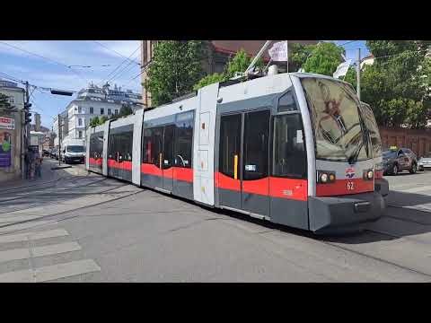 Straßenbahn Linie 41