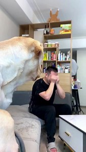 This dog actually stole my mobile phone to record a video🤣🤣 #dog #funny #reelitfeelit #puppy | Rourou Dog