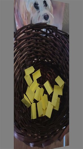 Quick video of Painting Raffle