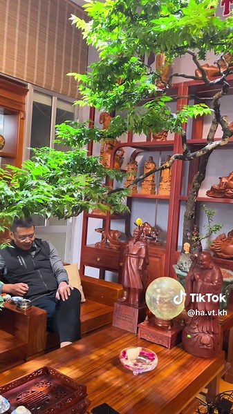 Những chú chim mến khách và hành trình vượt khó