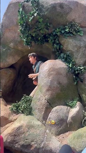 Disney Tangled Rapunzel Ride in Tokyo