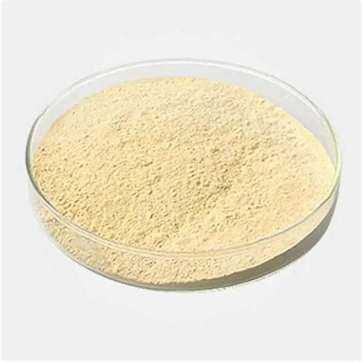 Natural Food Additives Ingredients E415 Xanthan Gum 200 Mesh Thickener Additives for Various Foods