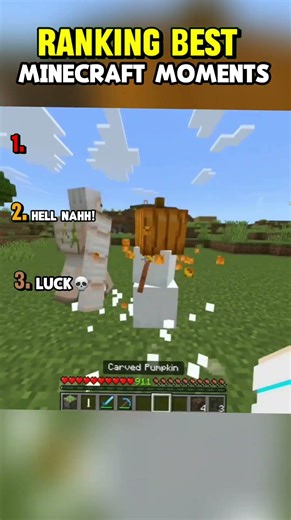 Best Minecraft Moments