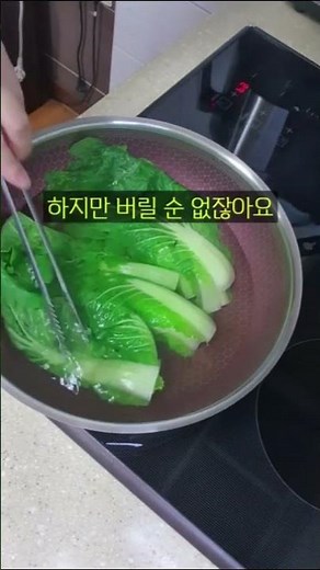 배추나물 하는데... 색깔이 왜 시금치죠? 🥬 (마트 배추 vs 집 배추)#배추나물