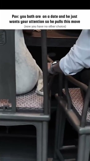 Now you have no other choice… 🤭🌚! ‪@Aesh.07official‬ #100millionviews #trendingshorts#fictional