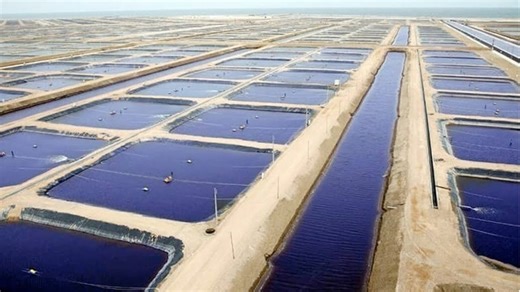 How Israel became a world leader in water innovation: From scarcity to surplus