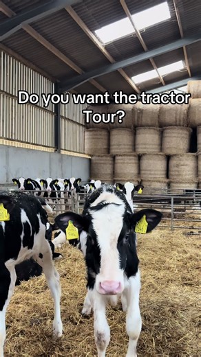 Best Tractors for Farmers: A Comprehensive Tour