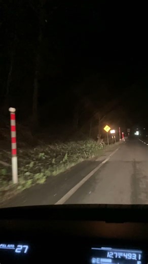 エゾシカさん達がいました。 石北峠辺り