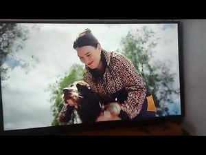 Everyday Insurance 2023 Ad