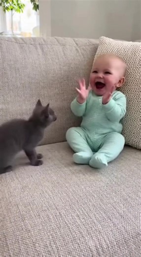 A baby claps on the sofa and a Russian Blue kitten hops with every clap. Bright daylight, fast and playful, with giggles and soft purrs filling the room. | Margot The Russian Blue Cat