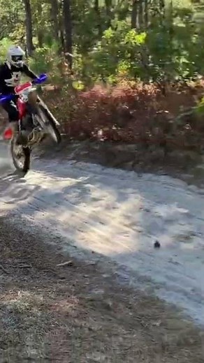 Honda XR600R / Wharton Forest