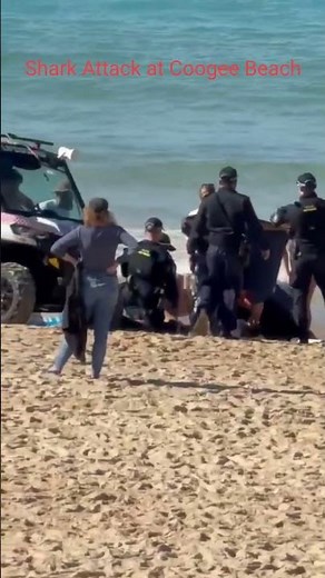 Shark Attack at Coogee Beach, Sydney 😳🦈