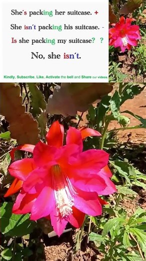 4- Present Continuous Tense for Beginners Quick & Easy #english #presentcontinuous #verbtense