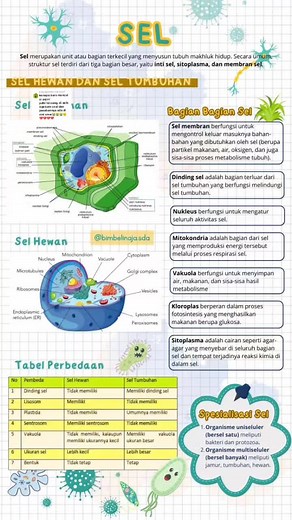 Perbedaan Antara Sel Tumbuhan dan Sel Hewan