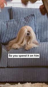 Save On The Sofa, Spend It On Your Thing. Shop Our Biggest Sale Of The Year | DFS