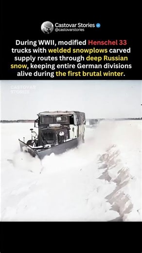 The Snowplow Truck During Brutal Winter #shorts