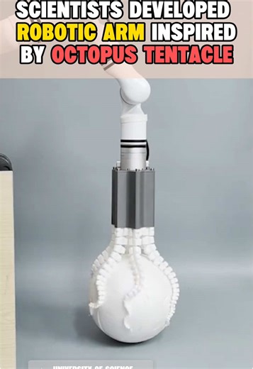 中国科学家研制章鱼触手灵巧的机器人臂