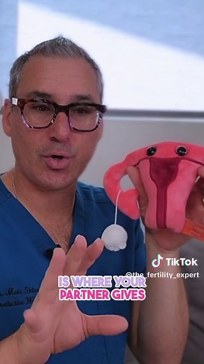 Understanding Intrauterine Insemination (IUI) Process