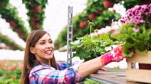 Vertical Gardening: Transform Your Garden Space With These Easy Vertical Gardening Ideas  | Herzindagi