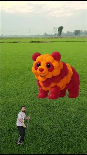 The Creative Bear Mascot Takes Over the Football Field