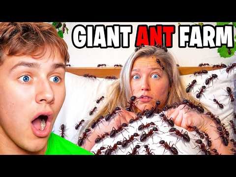 She Built an Ant Farm… In Her BED.