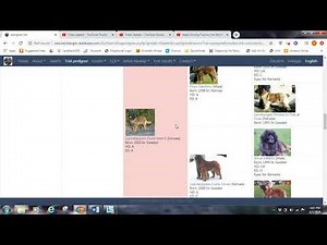 Trial Pedigree Tool on the Worldwide Independent Leonberger Database