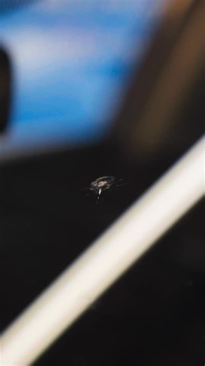Need your windshield repaired? Look no further! Auto Glass Now can repair your windshield, no problem! Find a location near you using the link in our bio. #AutoGlassNow #windshieldreplacement | Auto Glass Now