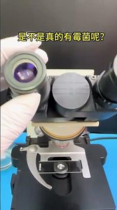 蓝莓肚脐有霉菌吗？显微镜下揭秘