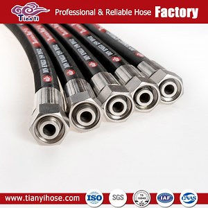 [Hot Item] Hydraulic Rubber Pump Hose, Rotary Joint, Flexible Metal Hose, Bellows Expansion Joint, Rubber Expansion Joint, Ss Braid PTFE Hose Tubing Lines