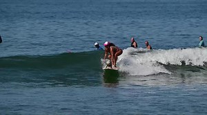 Rescued Dog Now Lives Best Life Surfing With Owner | Happily TV