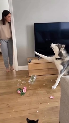 Ahmad Akelenga Abu Anas on Reels