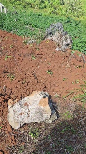 #Send me some #comments #if you like farming