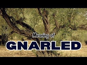 What is the meaning of Gnarled?
