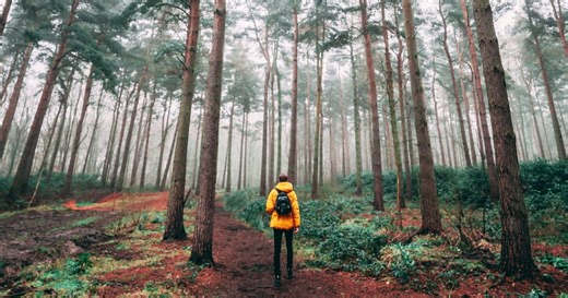 Camping tips: How to dry your hiking shoes fast after a rainy day on the trail