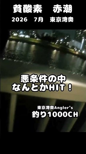 東京湾奥 そろそろ赤潮？