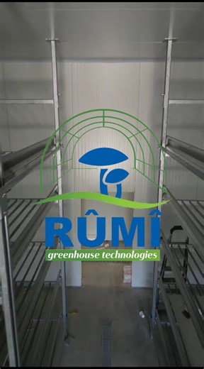 Türkiye'de hibeli mantarhane kurulumu yapan,yüzlerce başarılı projeye imza atmış uzman bir firmayız.