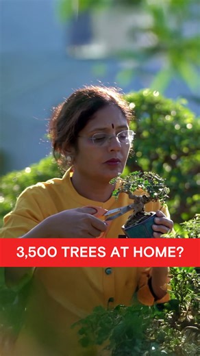 517K views · 1.8K reactions |  Mini trees, major impact!  Prajakta’s record-breaking bonsai collection is officially the world’s largest — certified by Guinness World Records. This #EarthDay, remember: small steps grow into big change! ✨ #EarthDay2025 #OurPowerOurPlanet | HISTORY | Facebook