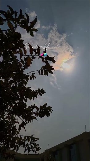 Ve Maahi ~ 💞... #noads #e231系0番台