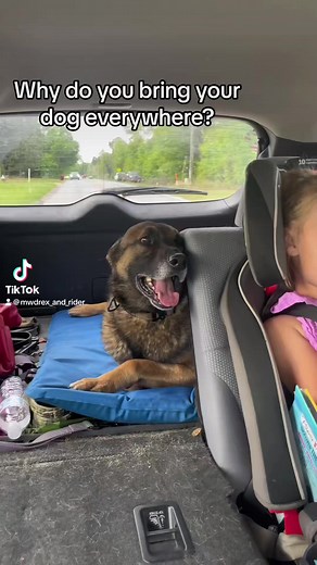 9.4K views · 640 reactions | We love you Rider ❤️ #mwd #RetiredMWD #militaryworkingdog#military #veteran #dog #gsd #k9 | MWD Rex & Rider | Facebook