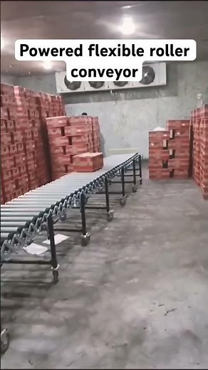 Material handling equipment powered flexible roller conveyor for carton boxes#conveyor