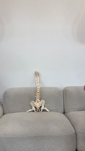 Spinal flow is an amazing modality we offer in Centre to assist the body in clearing blockages and creating the right conditions for health and wellbeing #spinalflow #spinalflowtherapy #botany | SOJO Essential Wellness