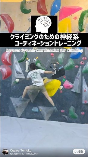 東大式神経系トレーニングでコーディネーション力アップ‼️#スポーツクライミング #ボルダリング #ボルダー #スピードクライミング #クライミング #解説 #レッスン #boulder