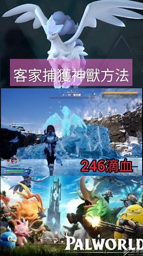 #幻獸帕魯 三顆球捕獲喚冬獸，傳說+冰帝