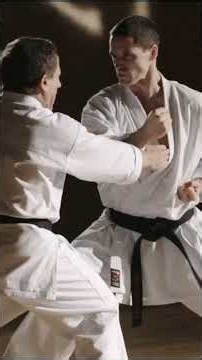 SHŌTŌKAN RYŪ KARATE DŌ KATA - Master Dario Marchini