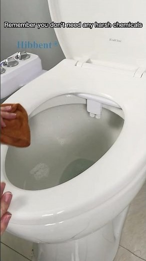 How to clean a toilet seat bidet in less than 5 minutes? Clean with me! #tutorial #shorts