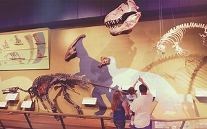 Cleveland Museum of Natural History