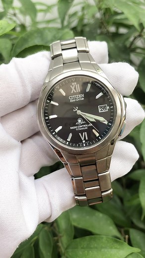 Citizen Eco-Drive Watch Review and Features